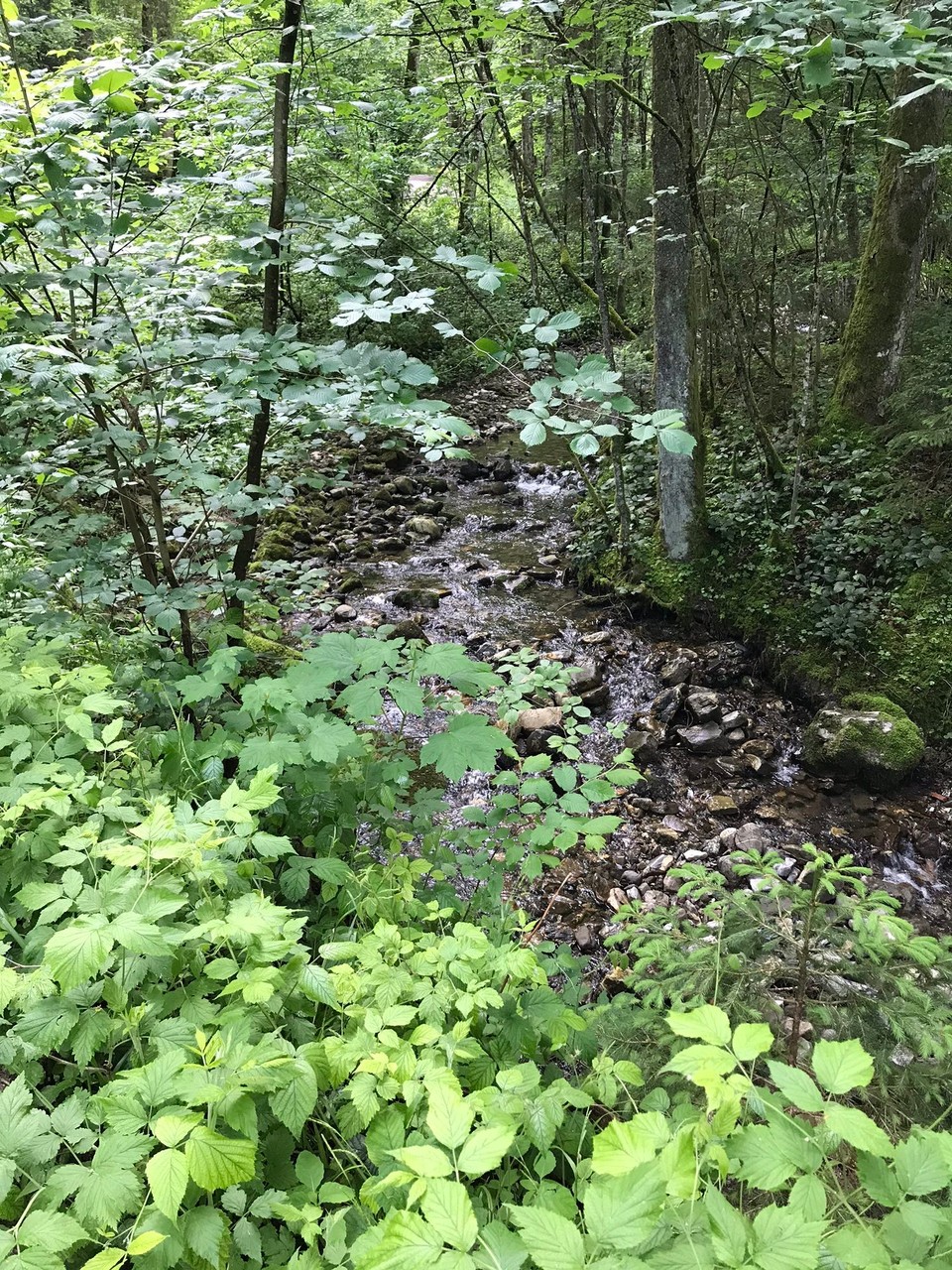 Deutschland - Neubeuern - Zunächst geht’s am Bach entlang 