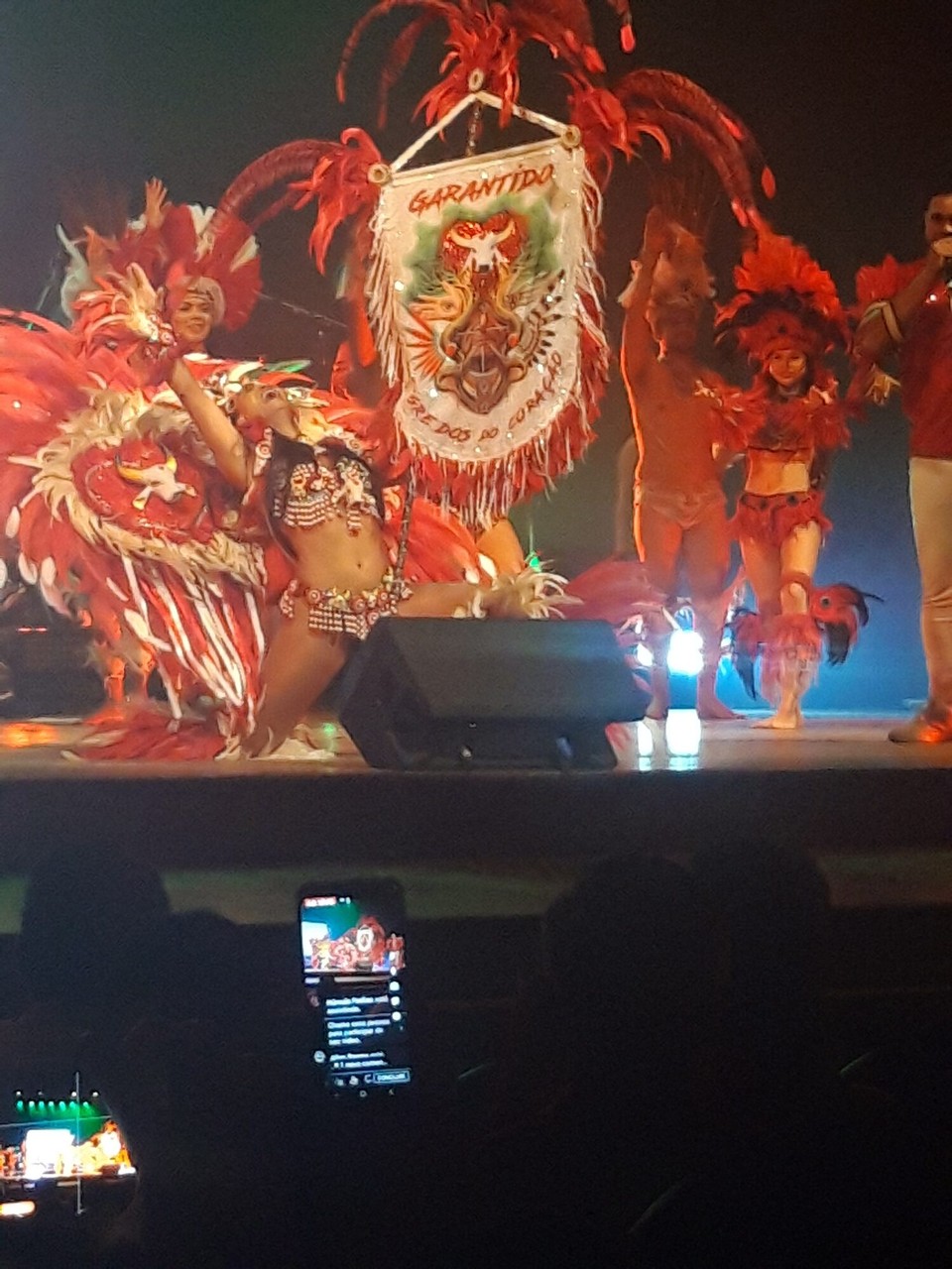 Brasilien - Manaus - 
