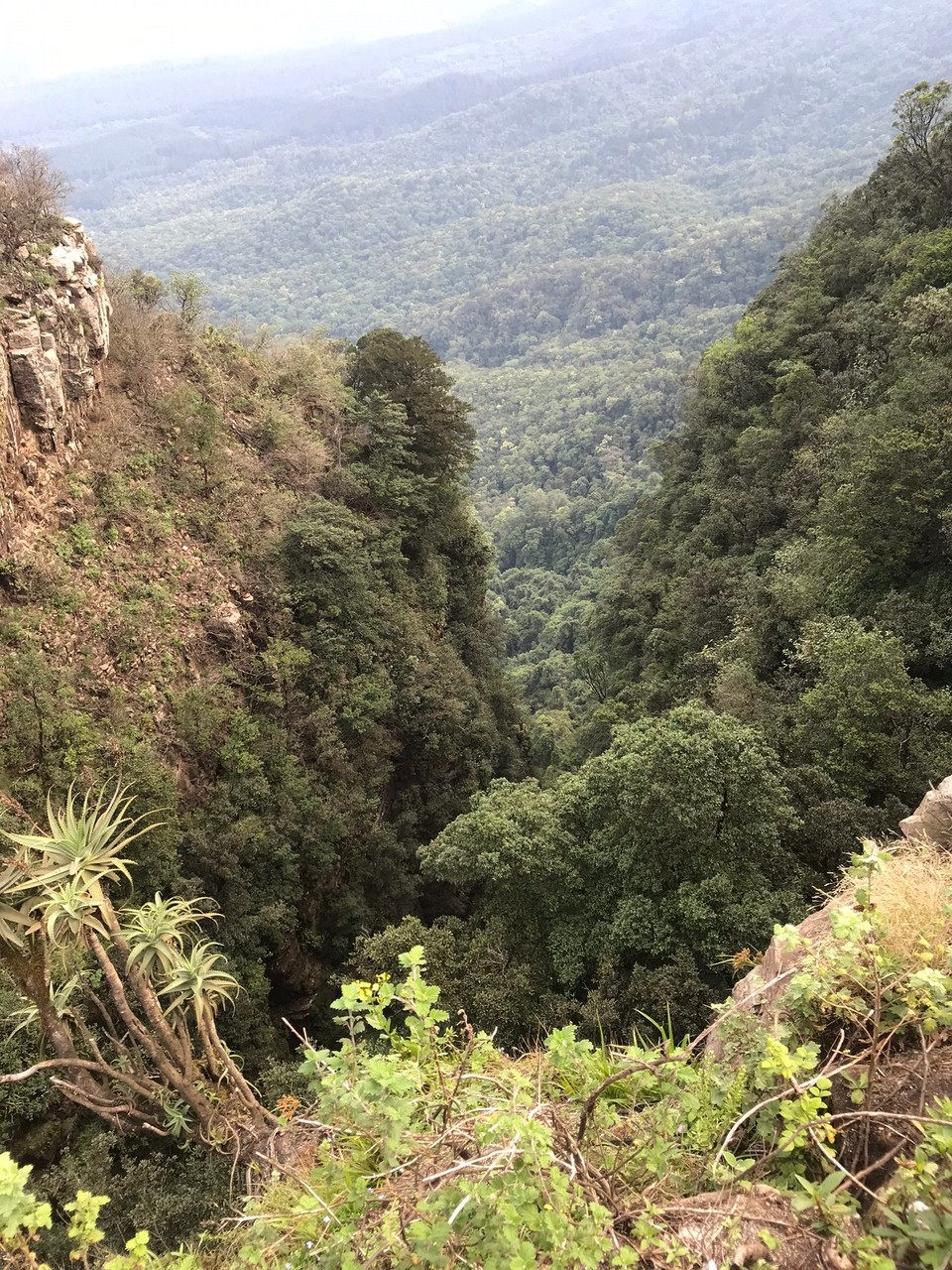 Südafrika -  - 