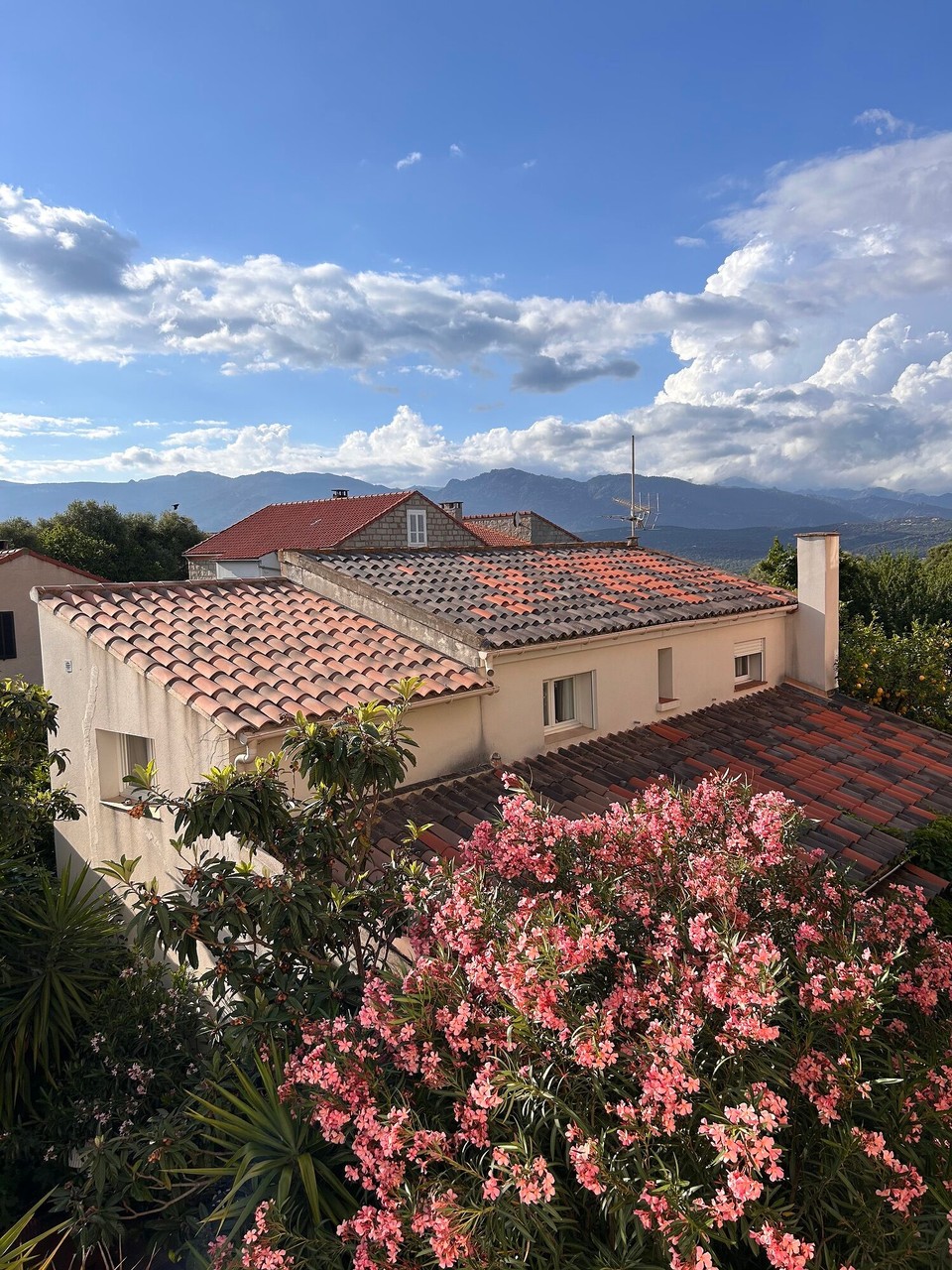 Frankreich - Porto-Vecchio - 