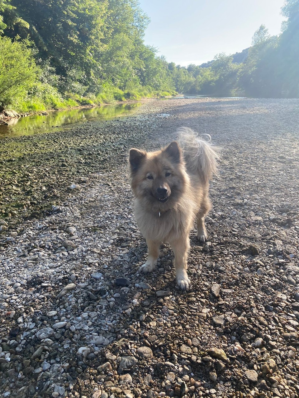 Frankreich - Méjannes-le-Clap - 