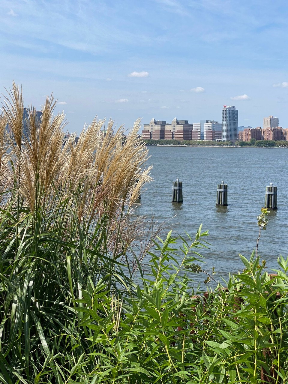 Vereinigte Staaten - New York - 