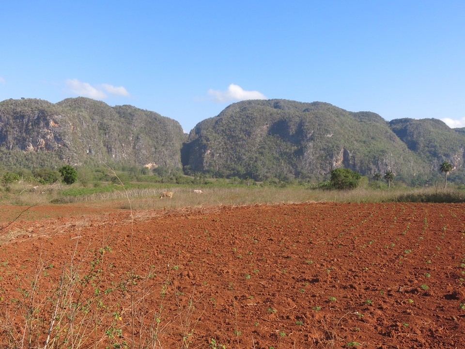  - Cuba, Viñales - 