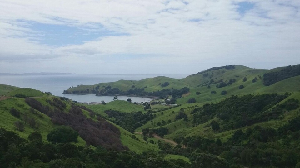 New Zealand - Whangapoua - 