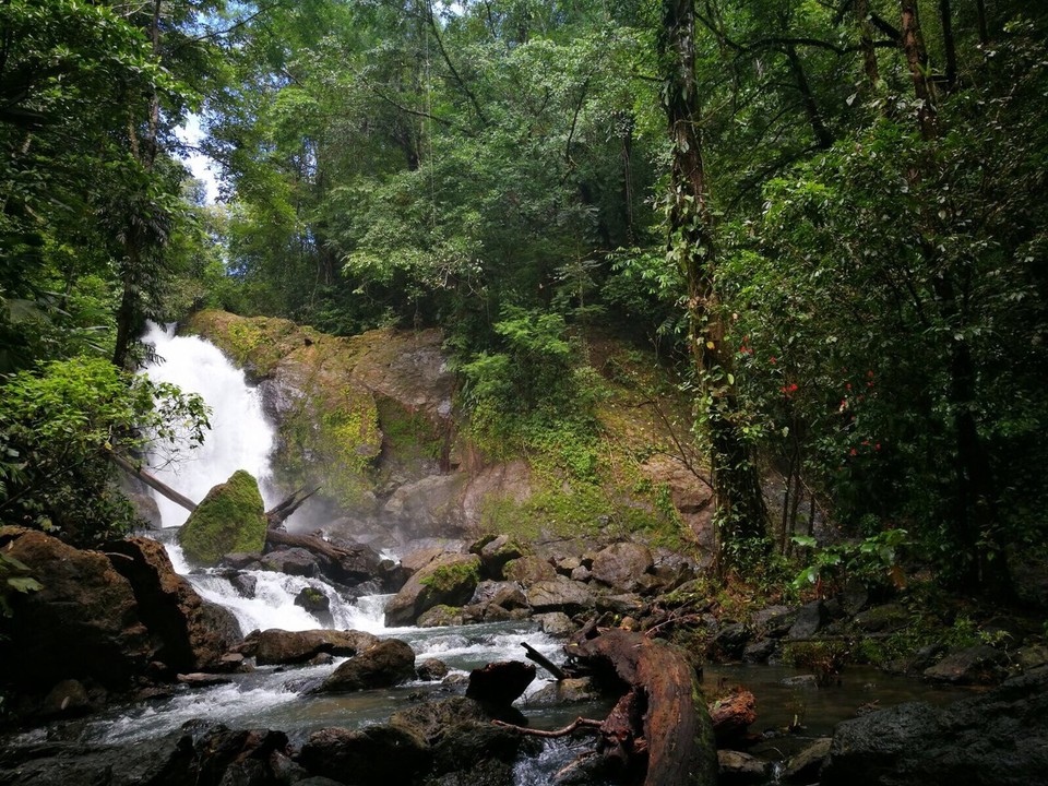 Costa Rica - Osa - 