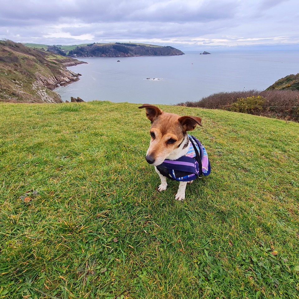 Malaysia - Kuala Lumpur - Meanwhile someone back at home is waiting for us!