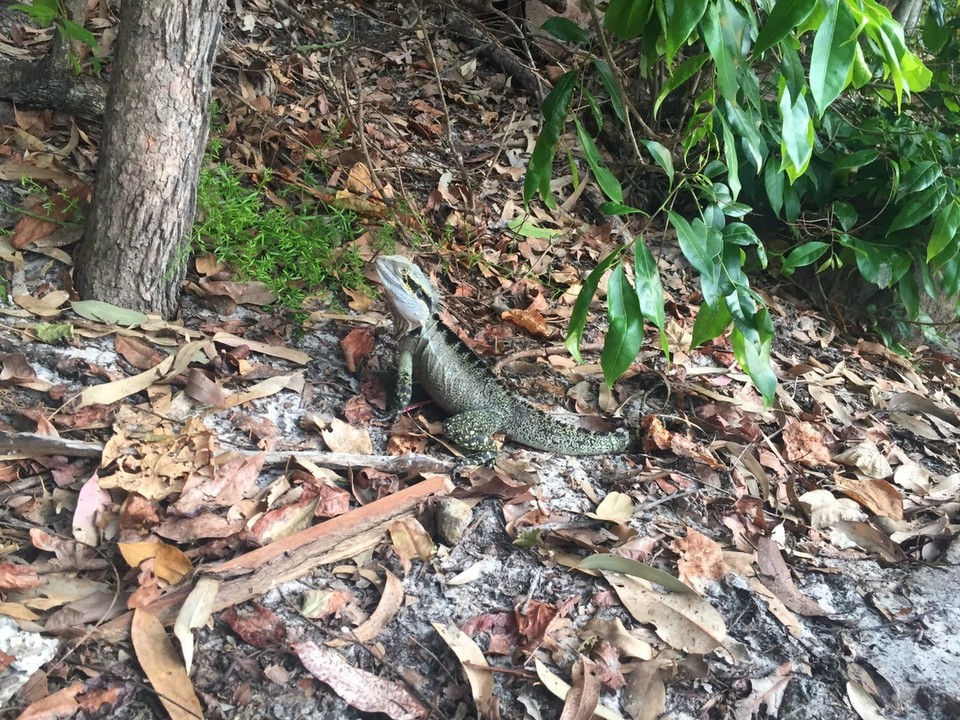  - Australia, Noosa Heads - 