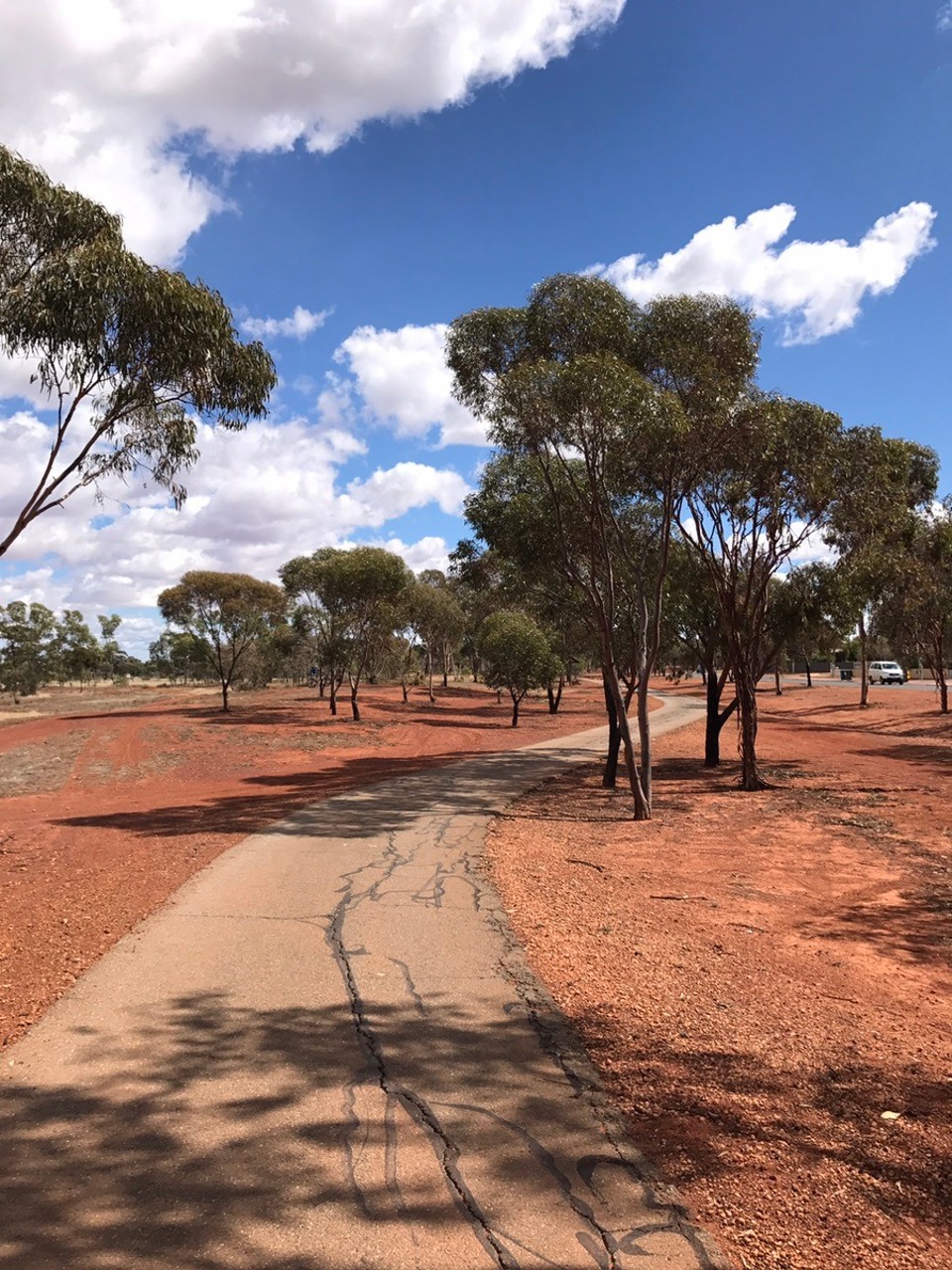  - Australia, Boulder, Kalgoorlie - Great bike ride until Stevie got another puncture 🚴 