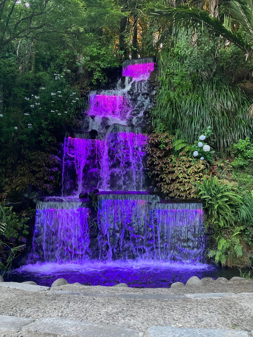 Neuseeland - New Plymouth - 