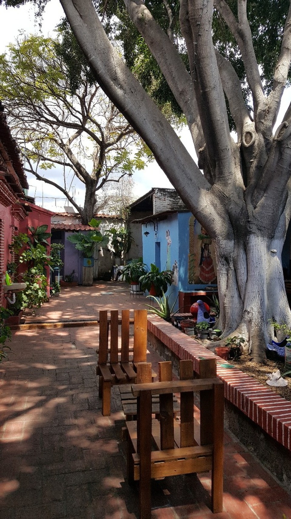 Mexiko - Oaxaca - In den Innenhöffen tauchen immer wieder schöne Cafés Restaurants  oder Kunstgalerien auf.  Oaxaca ist voll von jungen Künstlern.  Das ein oder andere Bild hätte ich gerne mitgenommen, wenn unser Trip nicht noch so lange gehen würde....