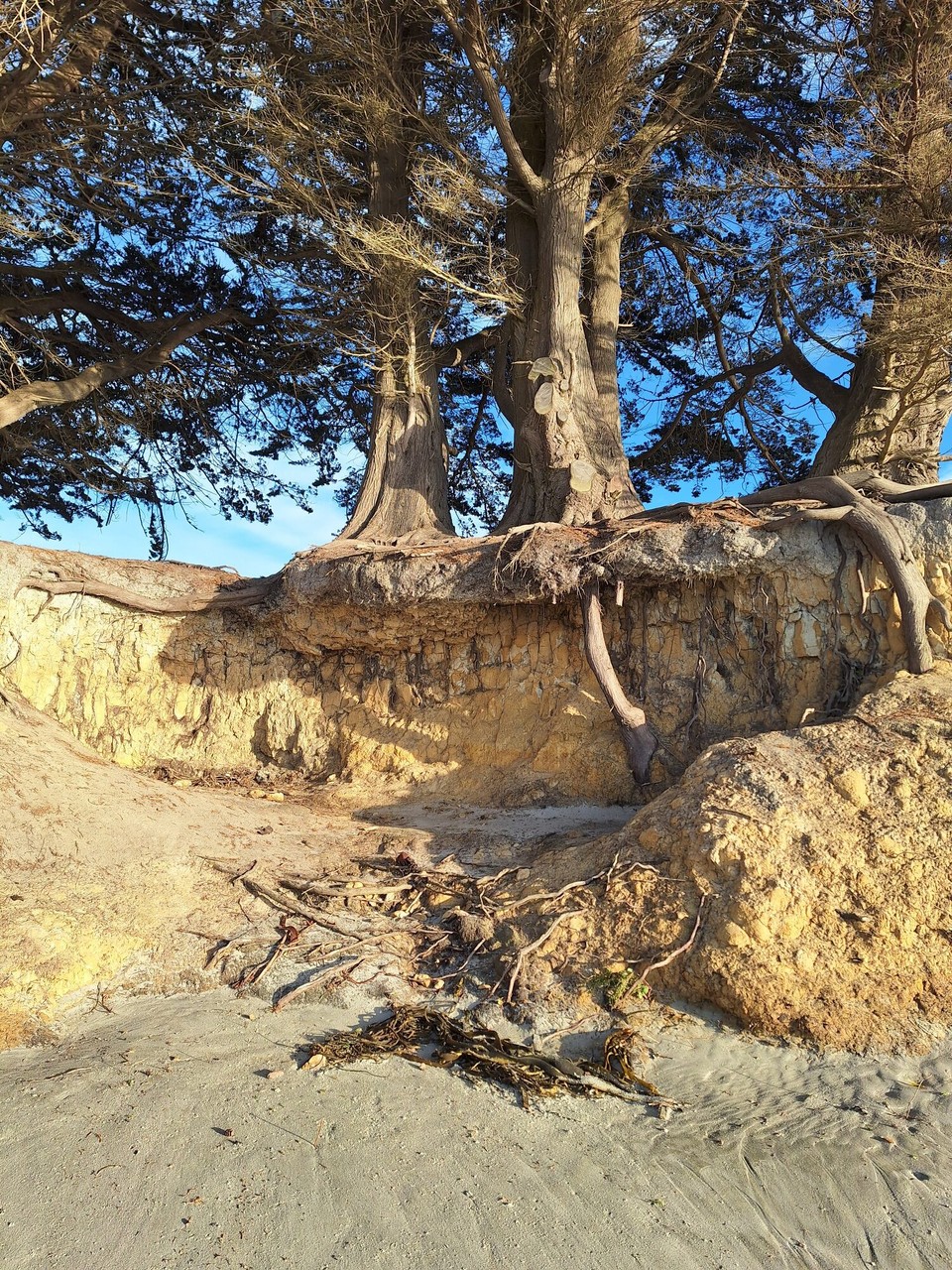 Neuseeland - Dunedin - Brighton Beach