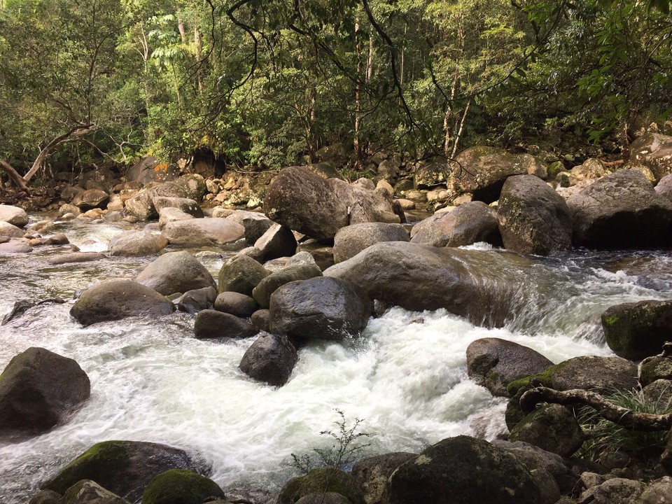 Australien - Mossman Gorge - 