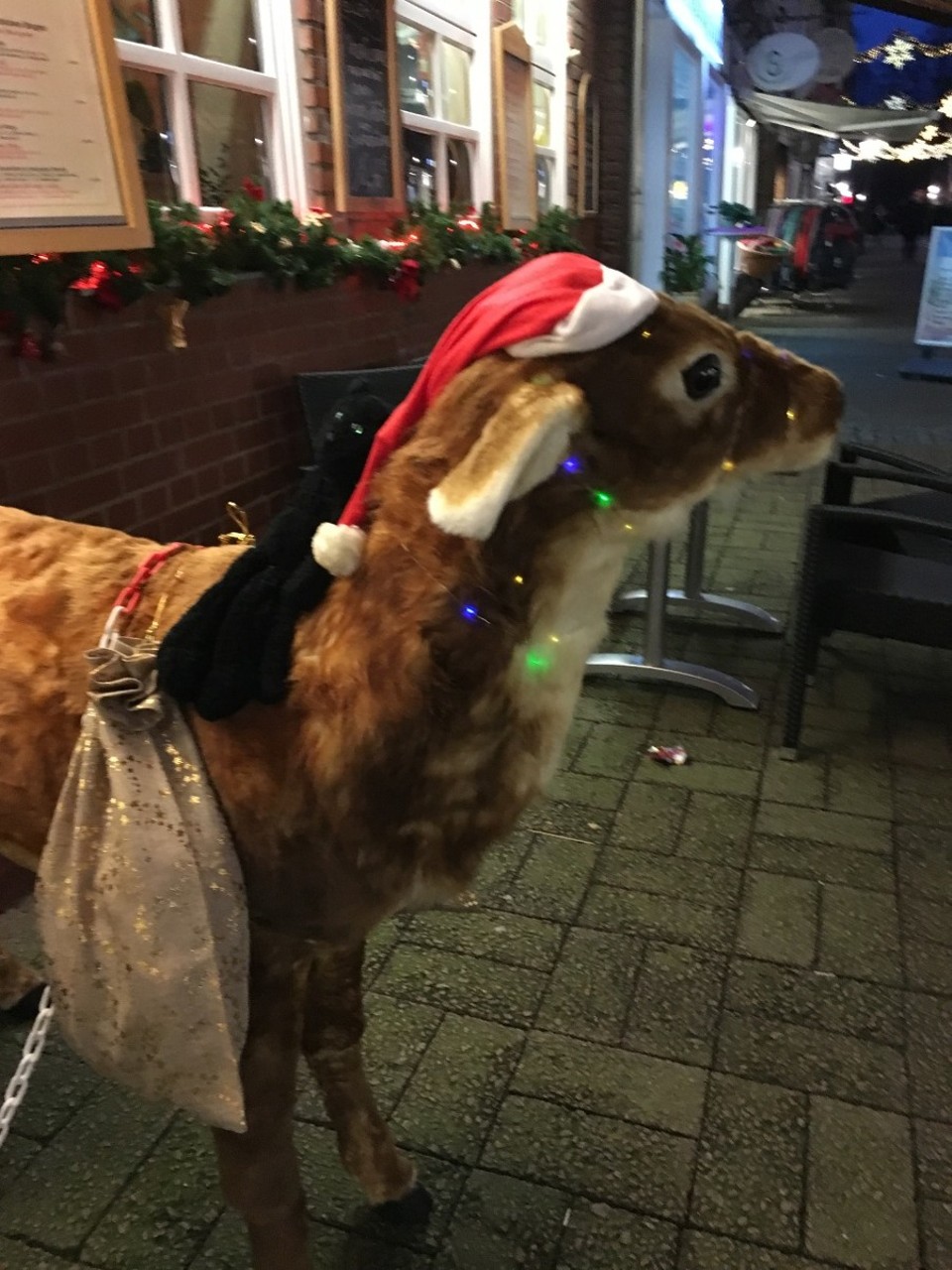 Germany - Celle - Hi Rudolf!