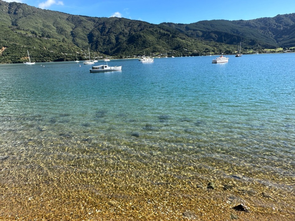 Neuseeland - Christchurch - Dann über einen Scenic Ride, den Queen Charlotte Drive entlang mit ganz vielen Fjorden ….
