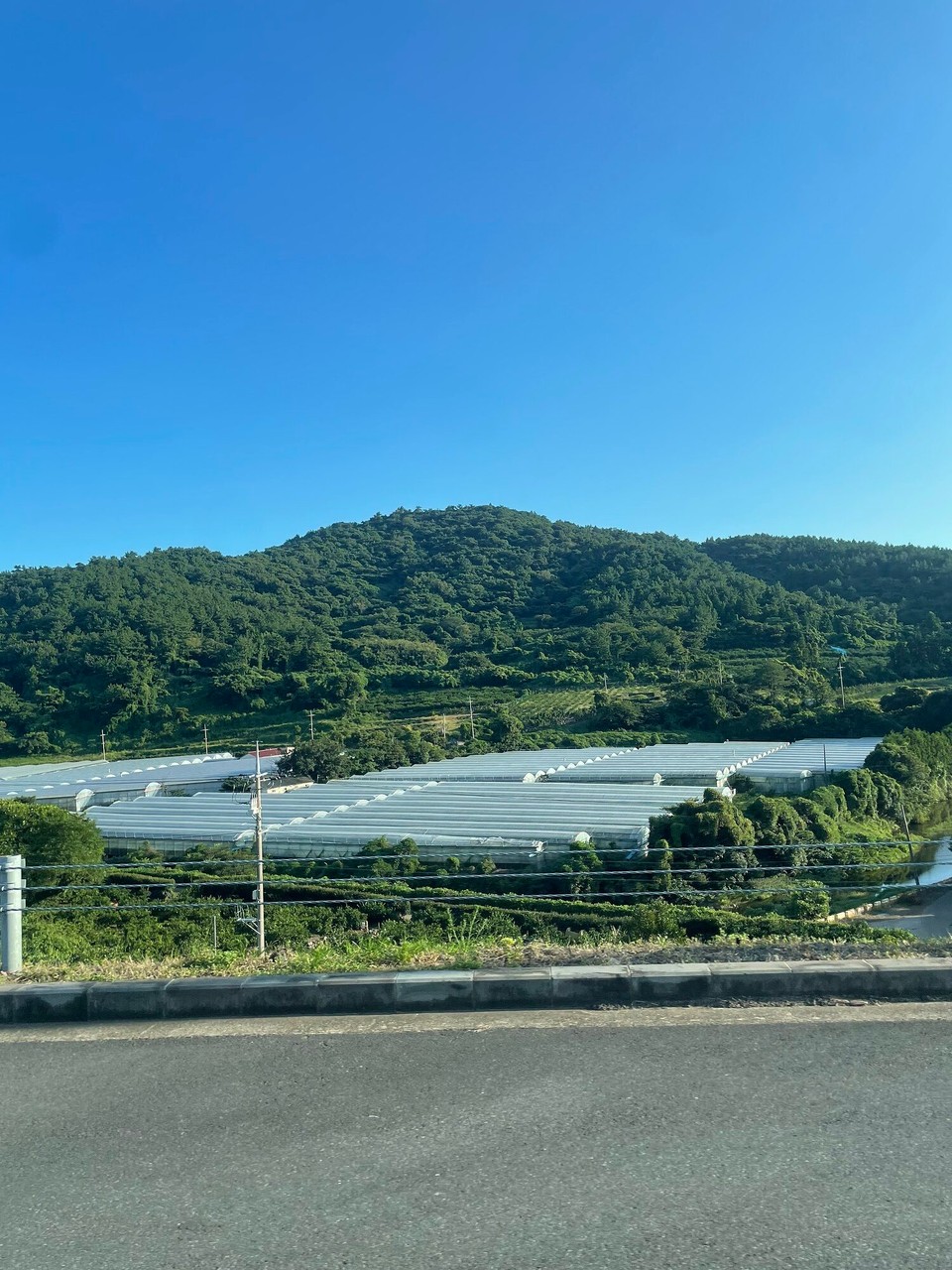 대한민국 - 제주시 - 