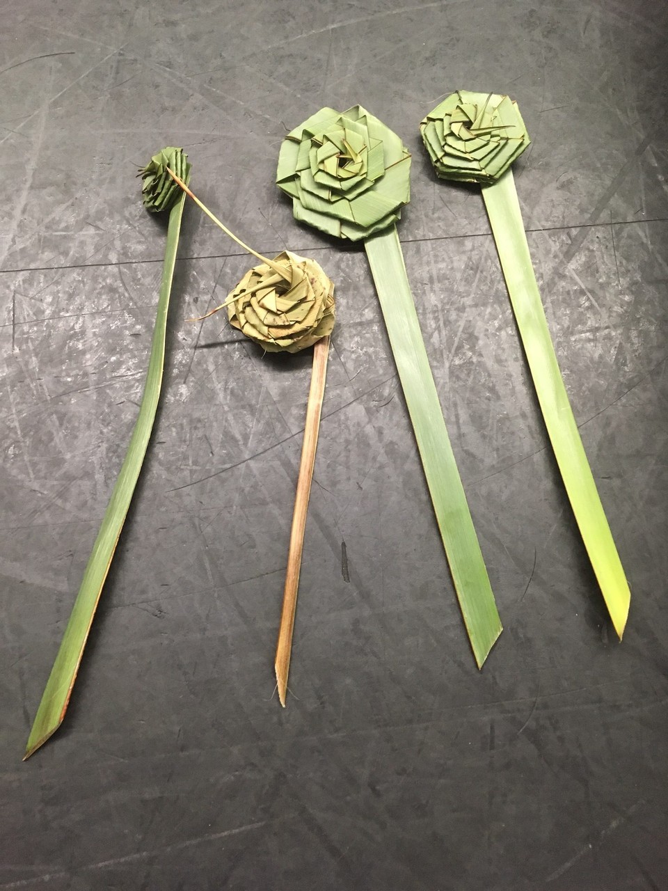 Vereinigte Staaten - South San Francisco - Wir sind gut in San Francisco angekommen. Leider werden unsere Maori—Blumen bei der Einreise eingezogen. Ein Foto durften wir noch machen.