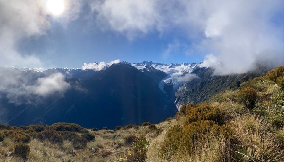 Neuseeland - Westland National Park - 