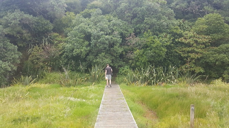 Neuseeland - Huia - Der Eingang zum Dschungel direkt am Campingplatz.