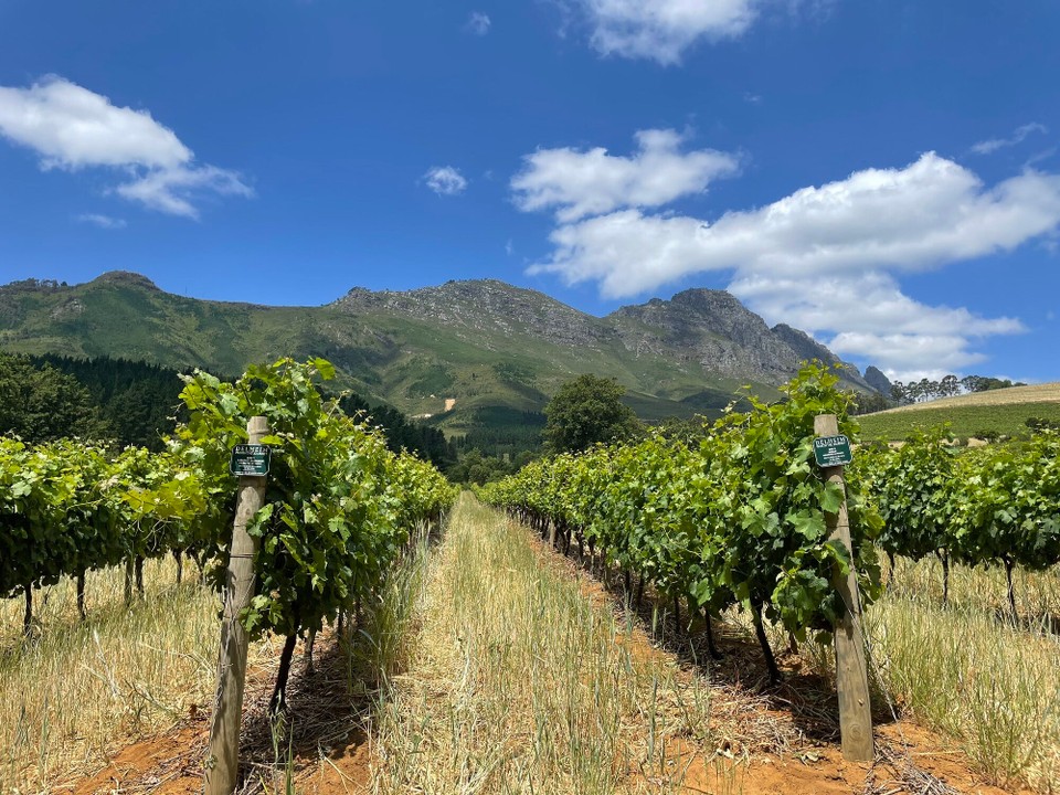 Südafrika - Stellenbosch - 