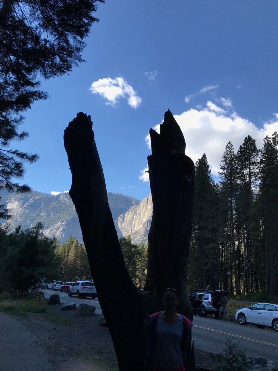 USA - Yosemite-Nationalpark - 