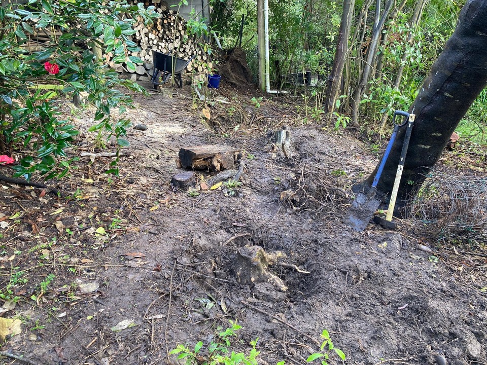 Neuseeland - Banks Peninsula Ward - Am Vormittag Baumstümpfe ausgegraben 💪