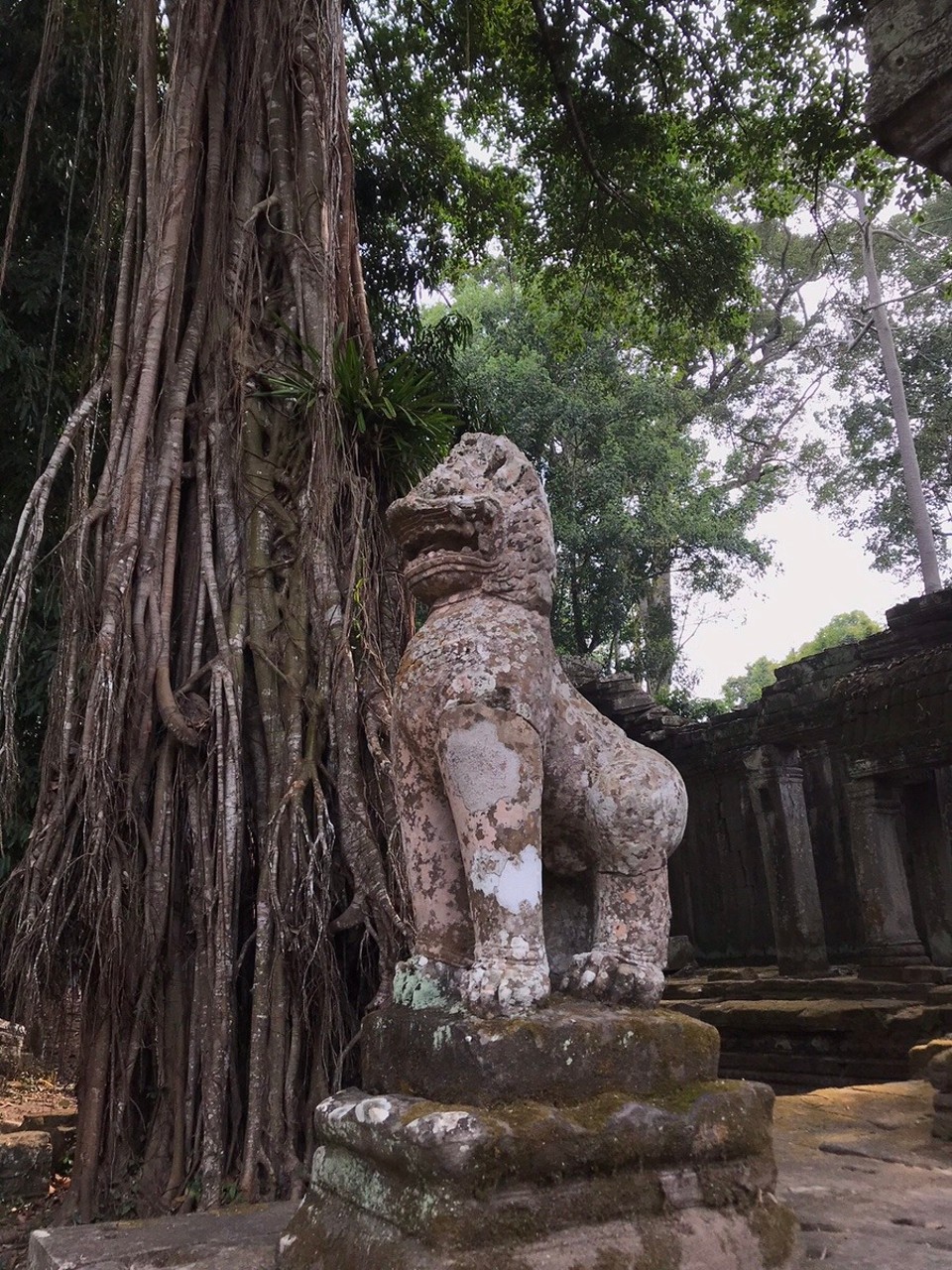Cambodia - Siem Reap - Lion at Preah Khan