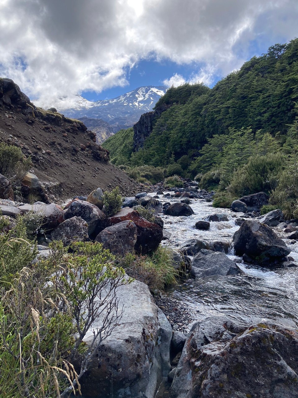 Neuseeland - Tongariro National Park - 