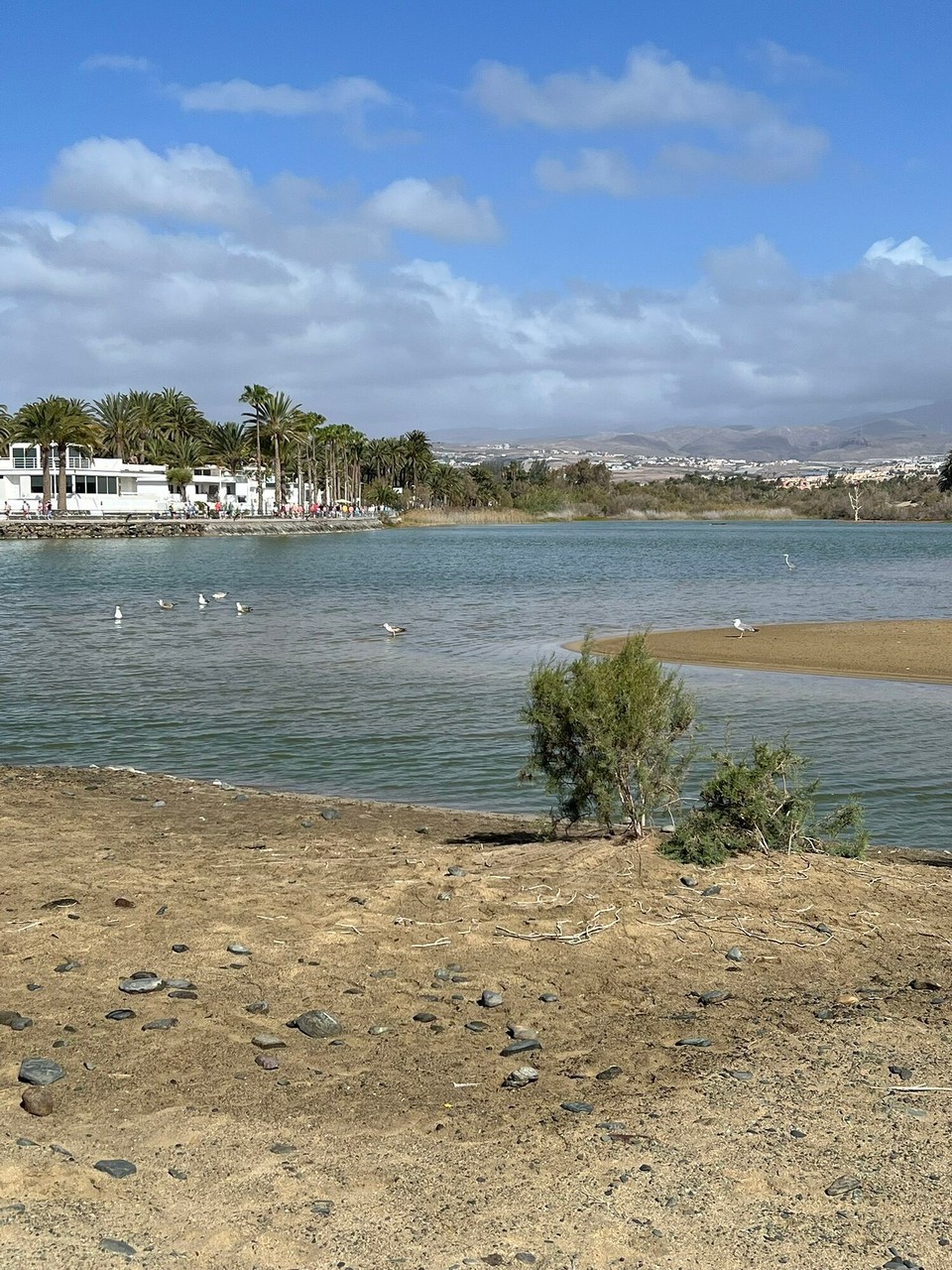 Spanien - Las Palmas de Gran Canaria - 