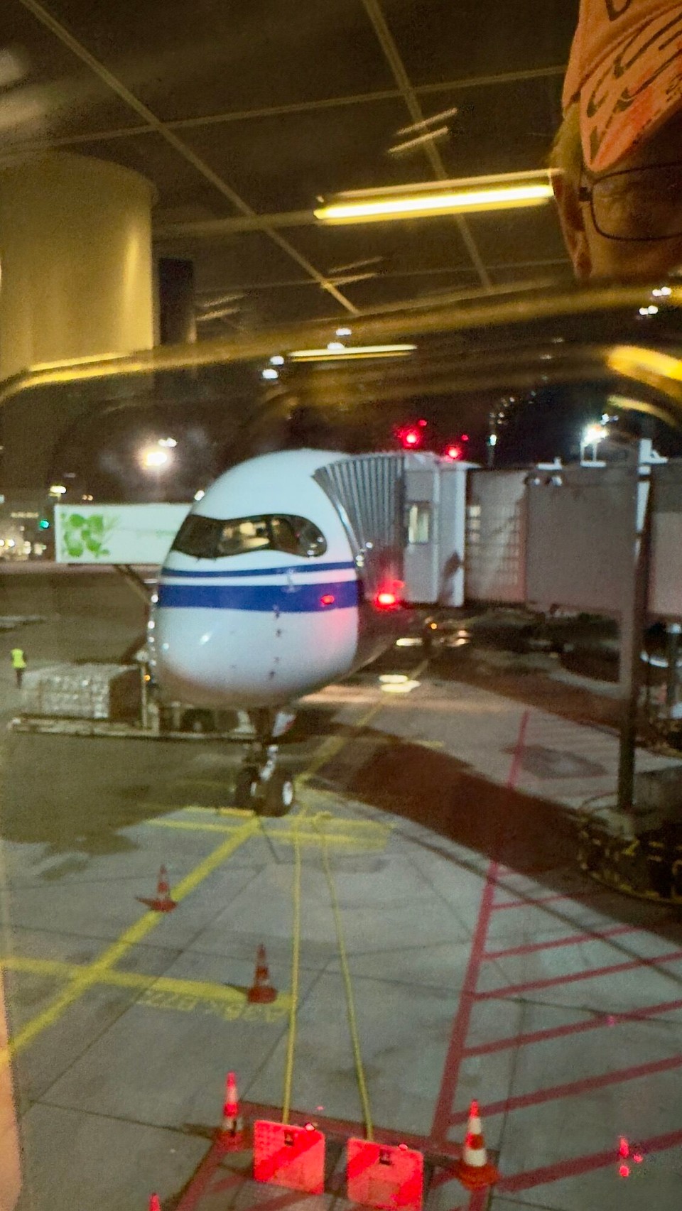 Deutschland - Frankfurt am Main - Der Flieger