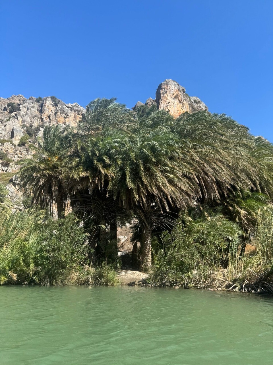 Griechenland - Asomatos - Palmen, Palmen, Palmen…