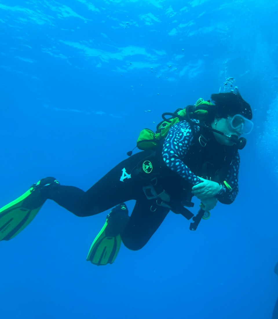 Italien - Porto Azzurro - Da treibt es hin, das Claudili