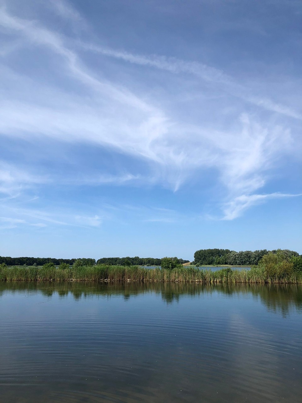 Niederlande - Zuid-Scharwoude - 