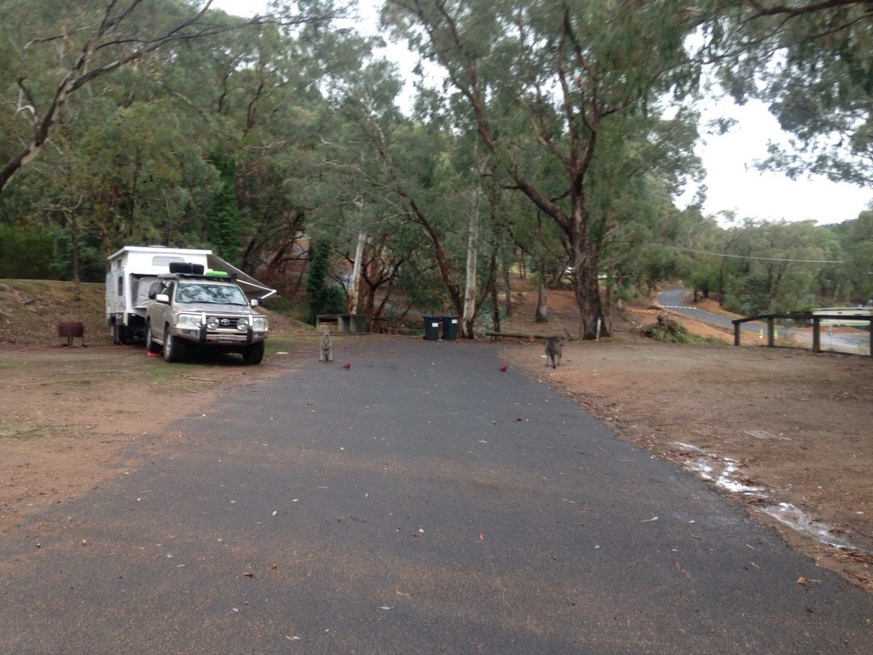 Australia - Burrinjuck - 