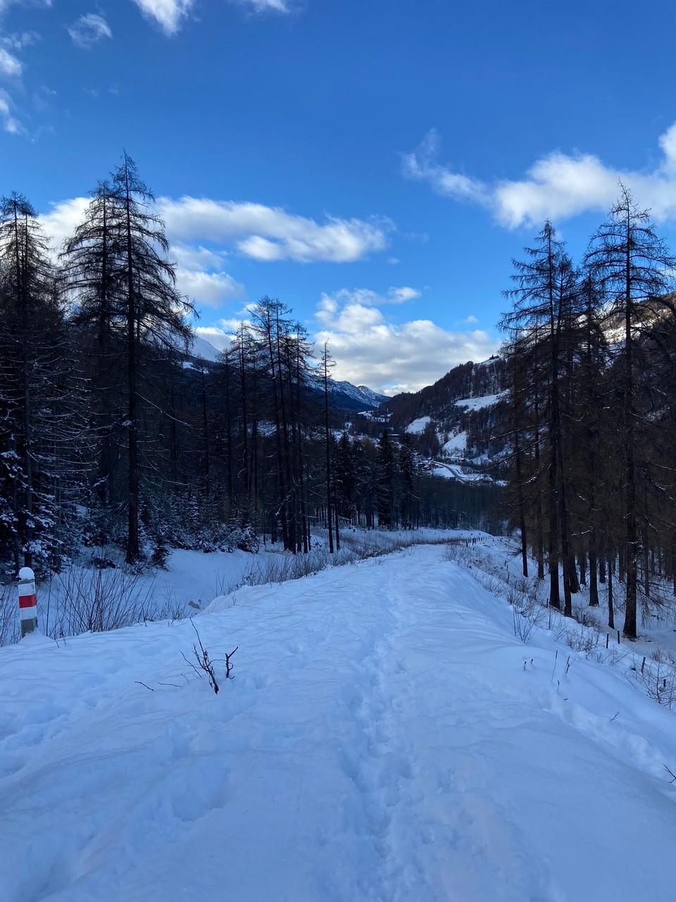 Schweiz - Sta. Maria V. M. - 
