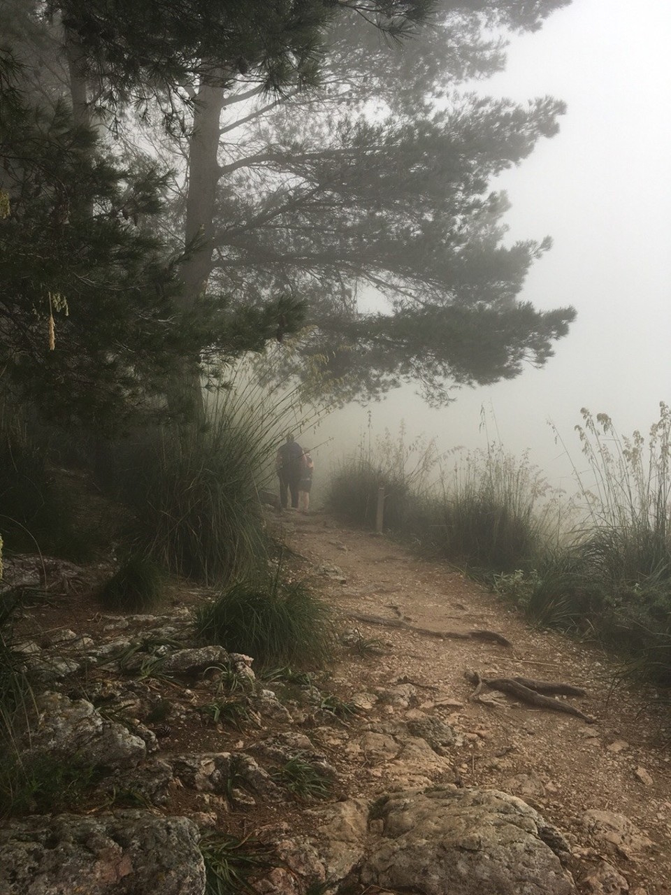 Spanien - Sóller - 