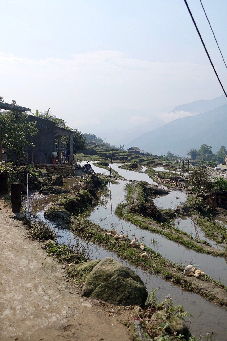 Vietnam - H. Sa Pa - 