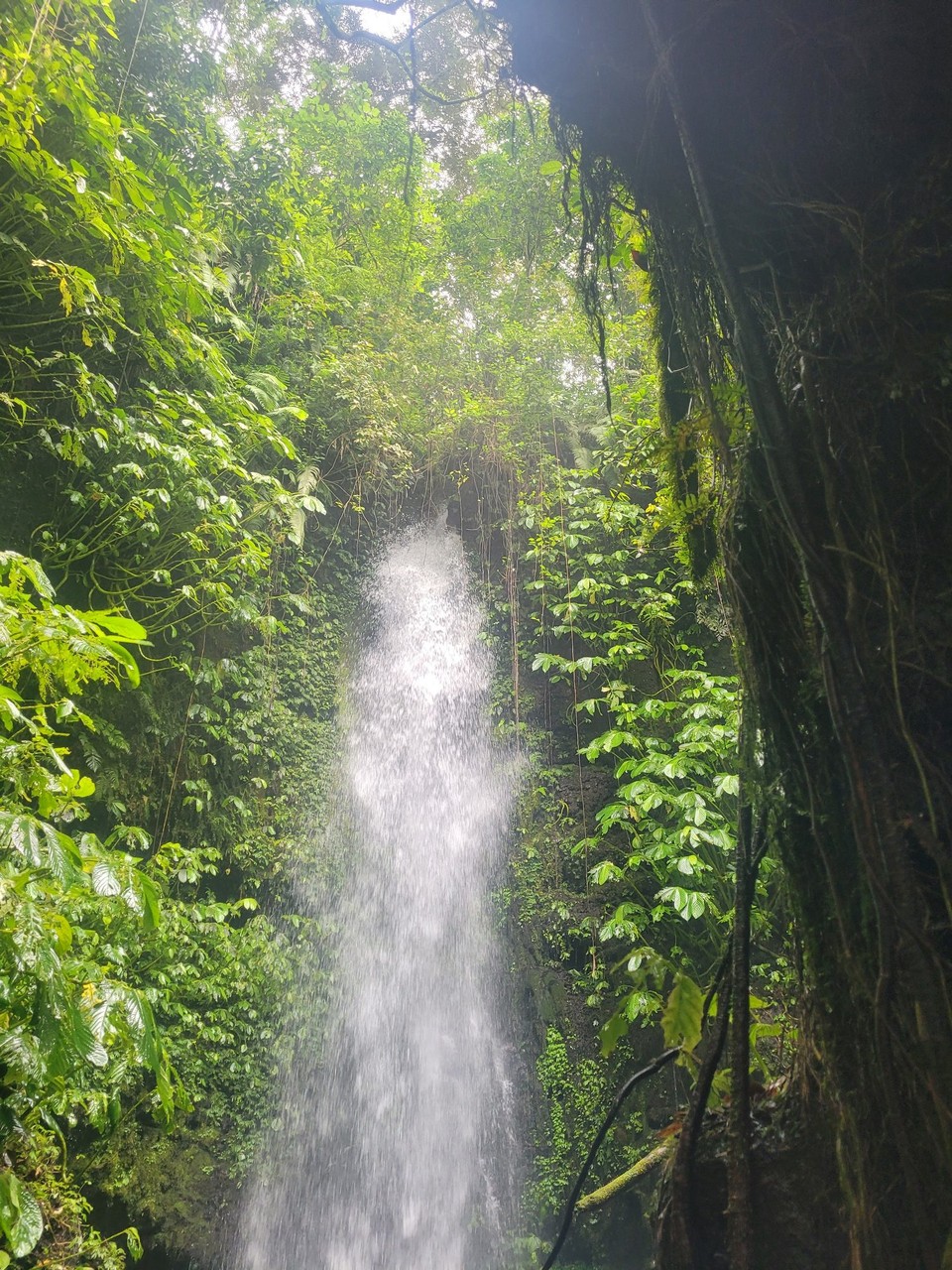 Indonesien - Lombok - 