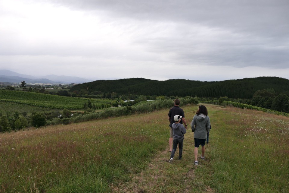 Neuseeland - Upper Moutere - 
