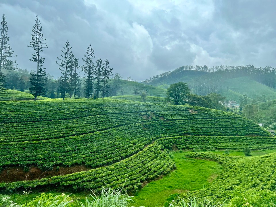 Sri Lanka -  - 