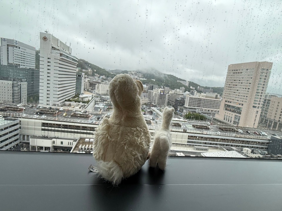 Japan - Kobe - Echt blöd, es regnet noch immer 