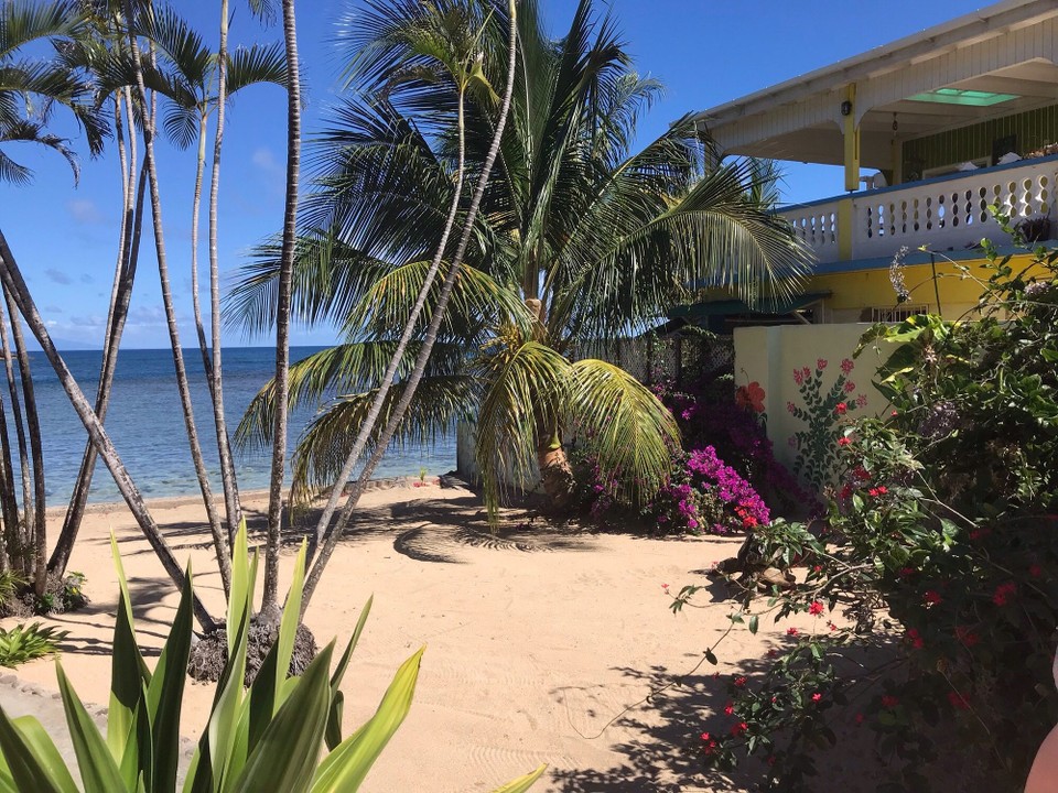 Dominica -  - 