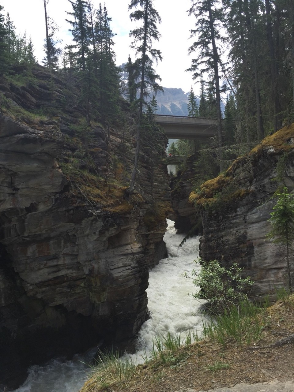 Canada - Jasper to Athabasca Glacier - Athabasca Falls