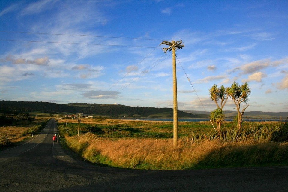 Neuseeland - Catlins - 