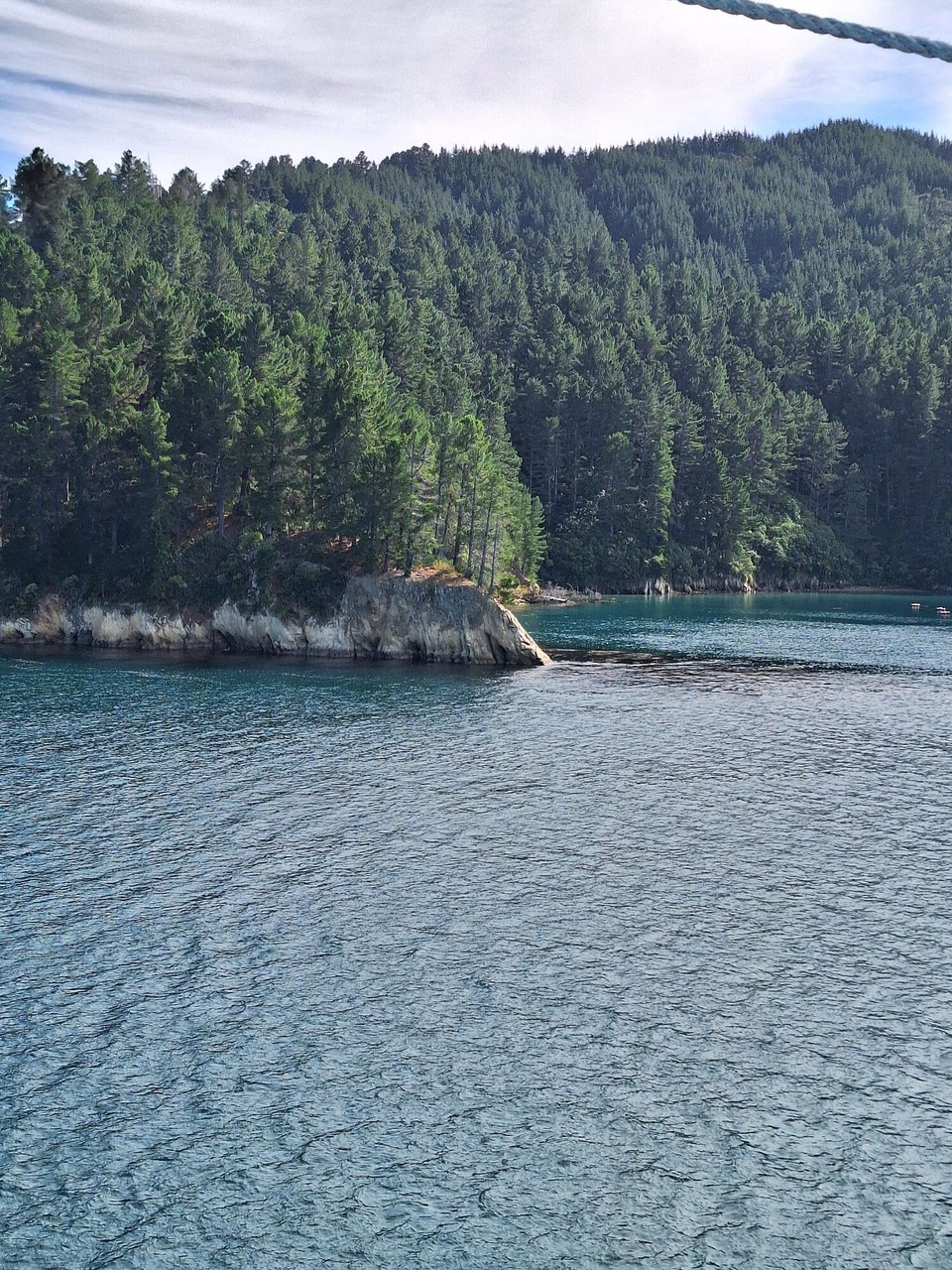 Neuseeland - Picton - Einfahrt durch den  Queen Charlotte Sounds