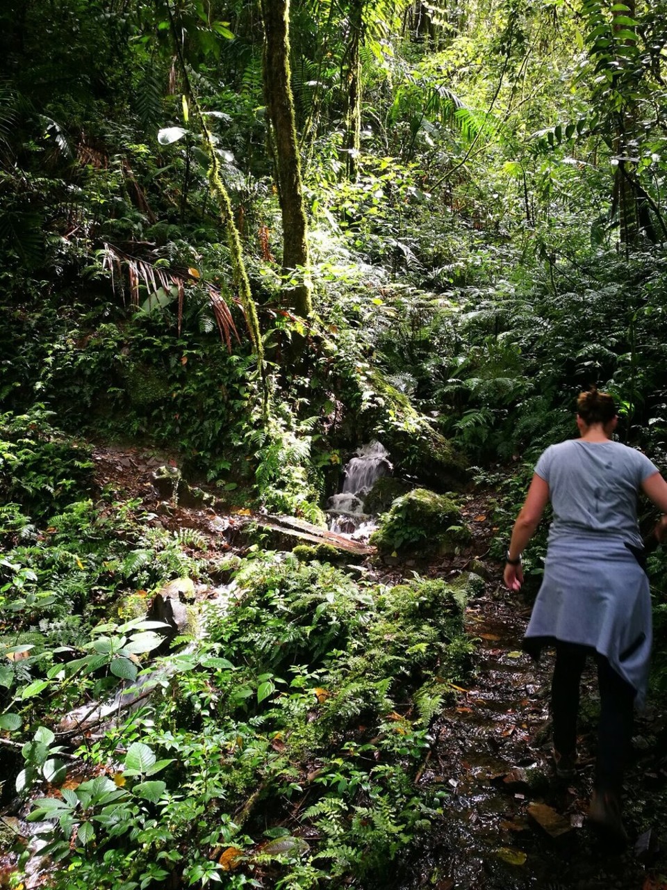 Costa Rica - San José - 