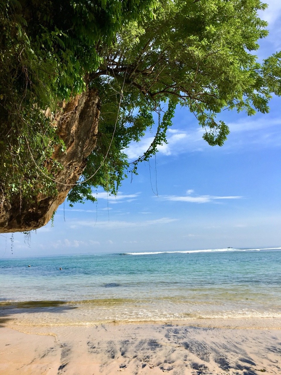 Indonesien -  - 💙💙