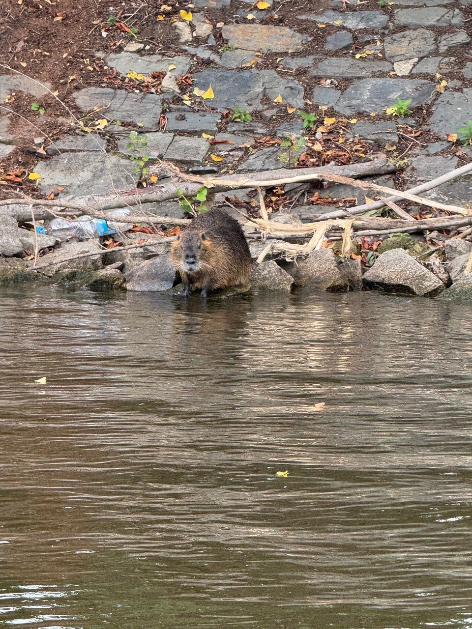 Czechia - Prague 1 - 