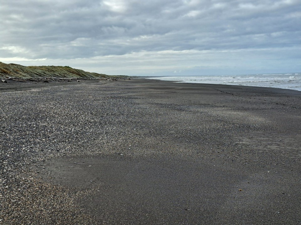 Neuseeland - Bulls - 