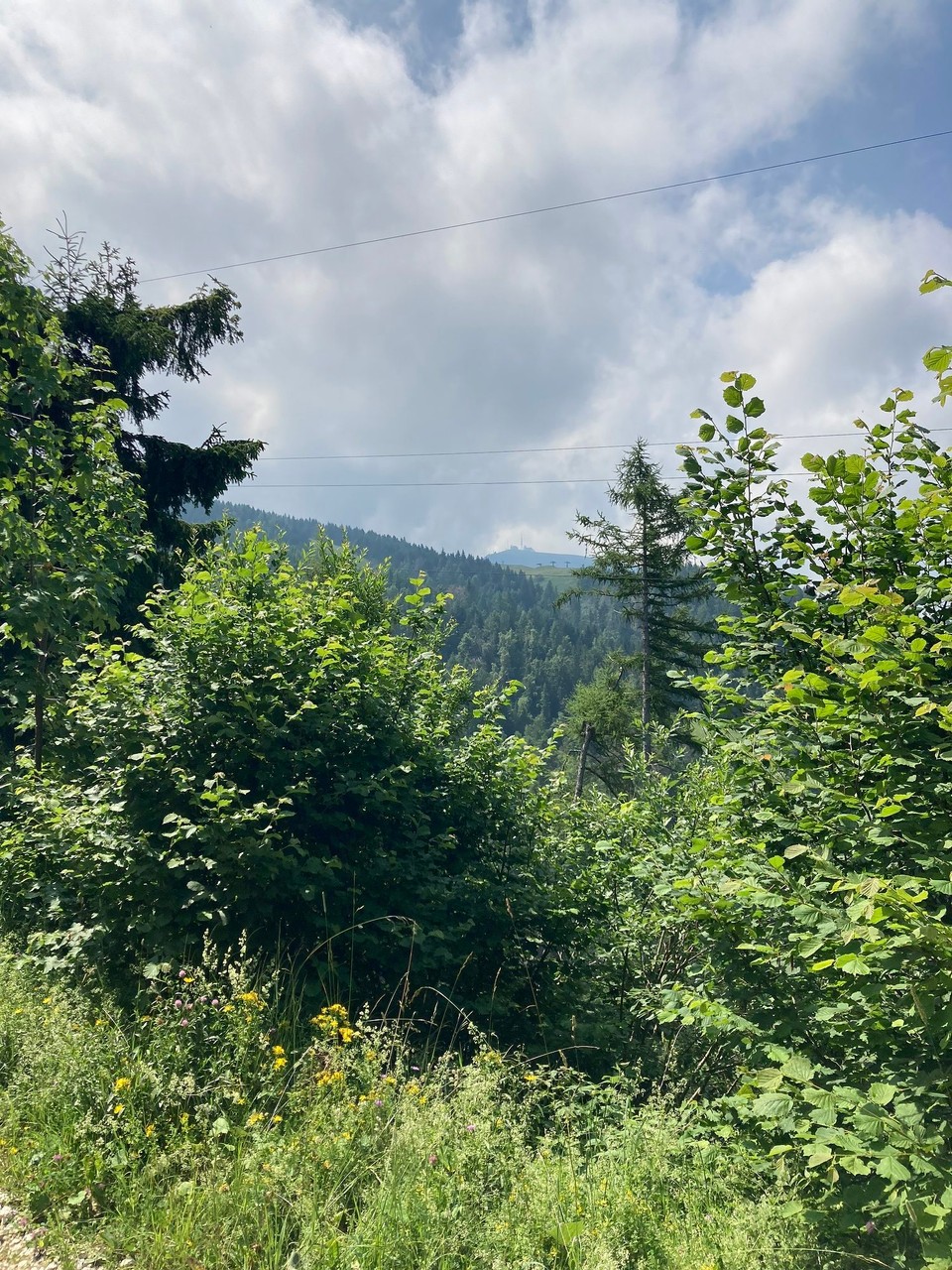 Ort bestimmen … -  - Der Coö Visentin in der Ferne