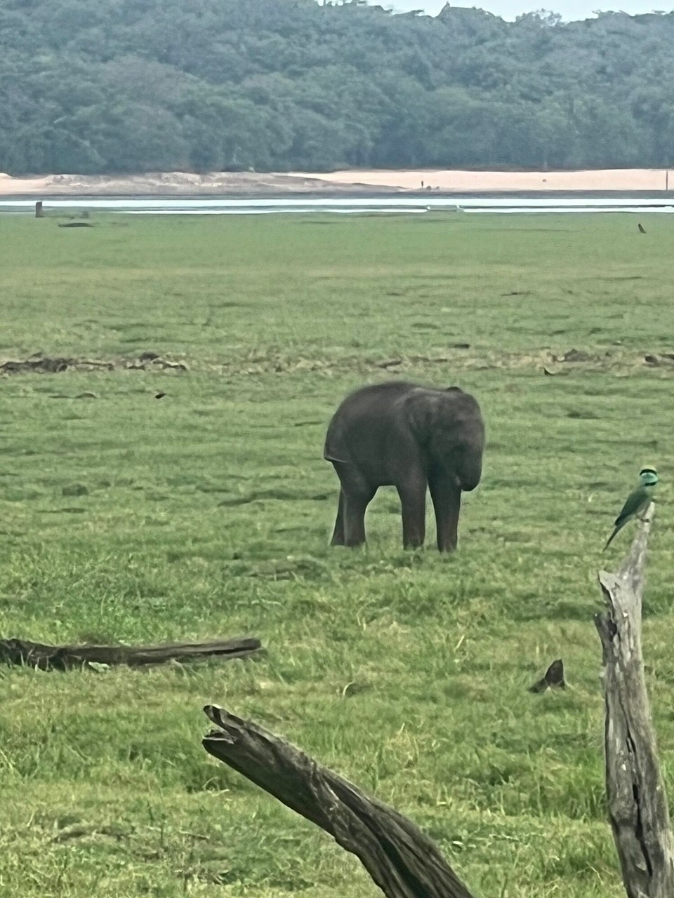 Sri Lanka -  - 